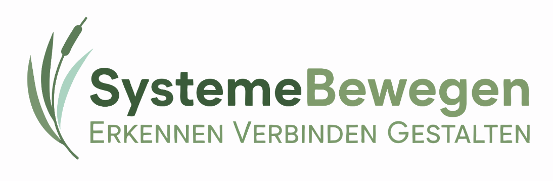 Systeme Bewegen – Erkennen, Verbinden, Gestalten